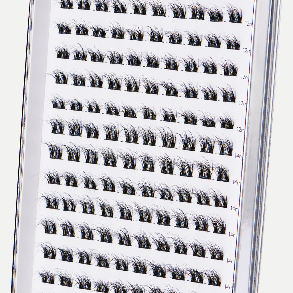 Cluster N° 02
