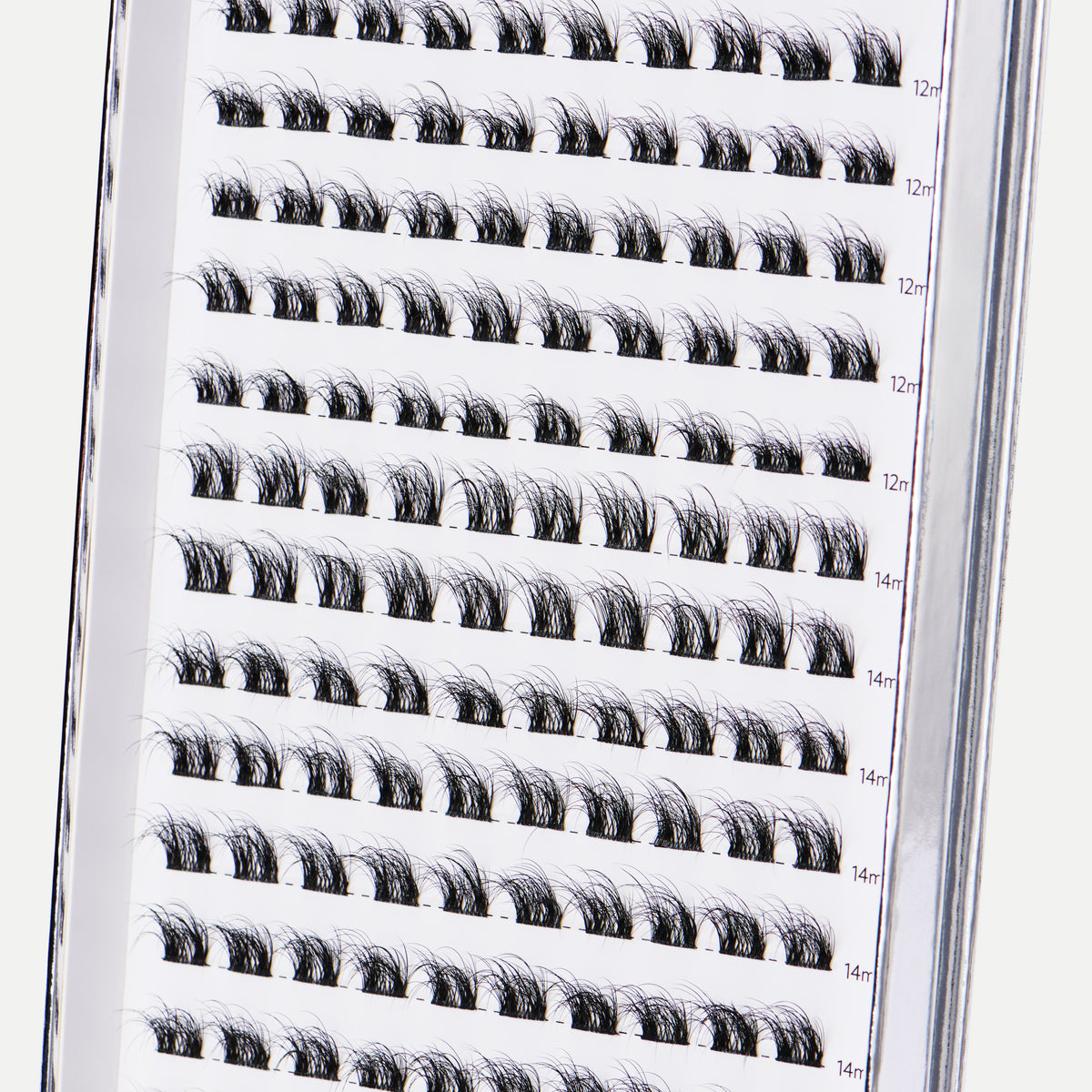 Cluster N° 02