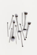 Method 1 Brush Collection
